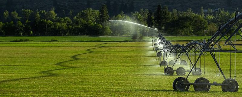 Watering System Installation Service