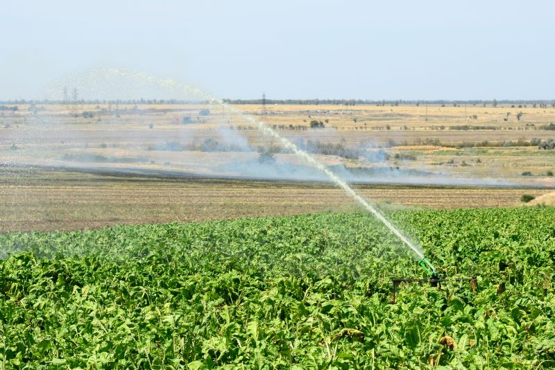 Plant Irrigation Installation in Aiken, SC
