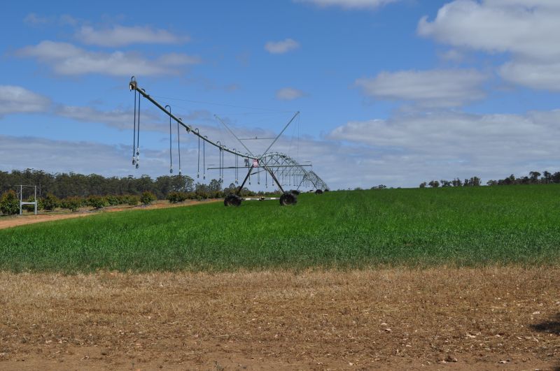 Irrigation Installation