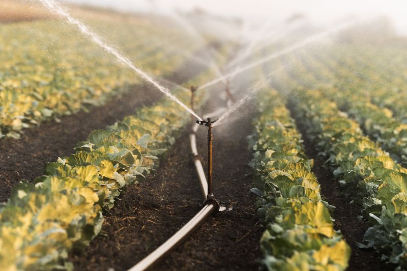 Automated Irrigation Controls