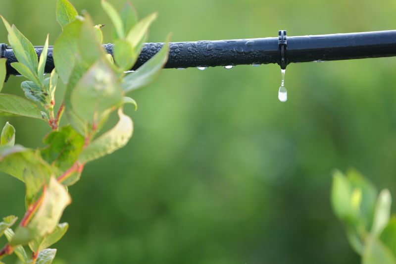Get Water Conservation with Irrigation Installation!